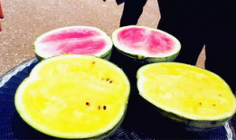 网爆吃瓜爆料图片大全高清,高清图片大全揭秘娱乐圈幕后真相