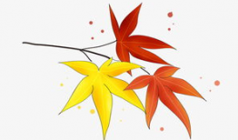 枫叶动漫,描绘东方奇幻的绚丽画卷